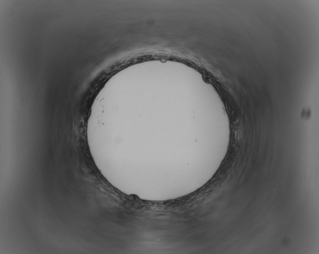 X0000090921495200708271014