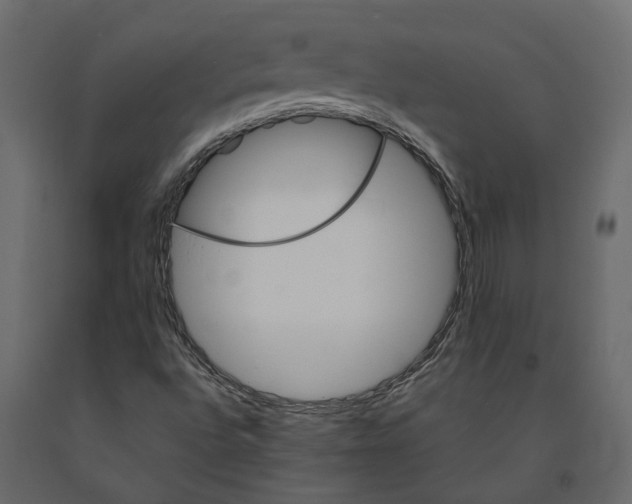 X0000090921496200708271014