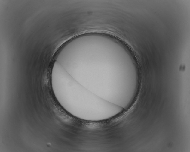 X0000090921497200708271014