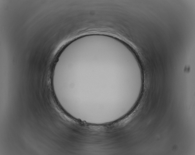 X0000090921498200708271014