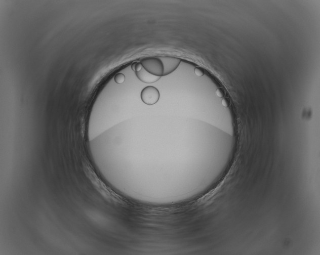 X0000090921499200708271014