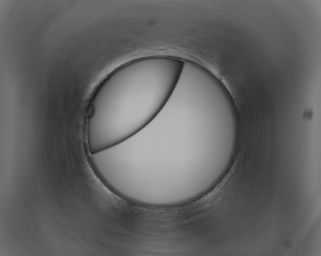 X0000090921500200708271014