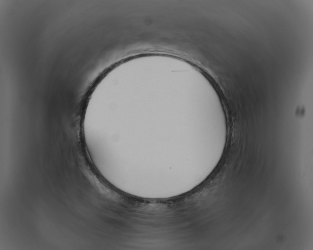 X0000090921503200708271014