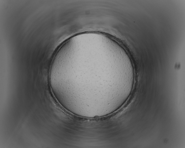 X0000090921505200708271014