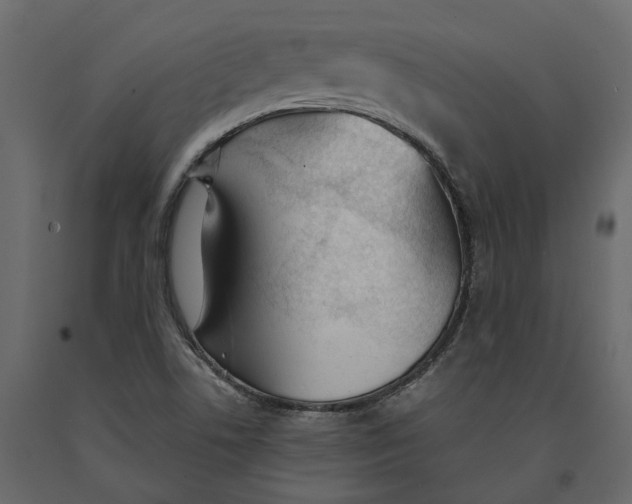 X0000090921506200708271014