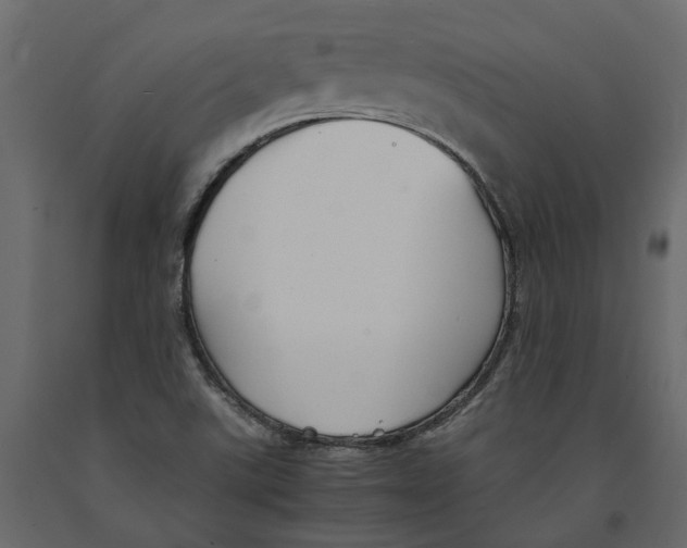 X0000090921507200708271014