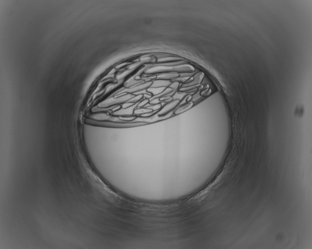 X0000090921510200708271014