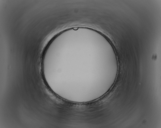 X0000090921511200708271014