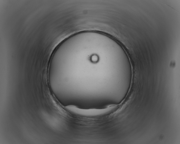 X0000090921513200708271014