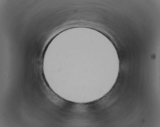 X0000090921514200708271014