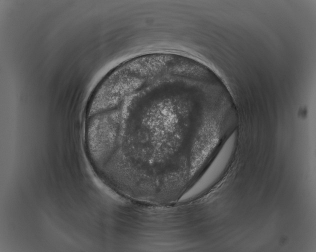 X0000090921515200708271014