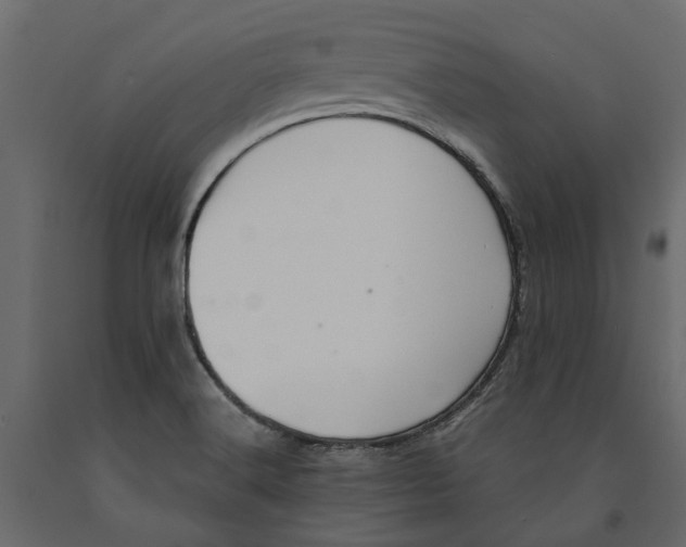 X0000090921516200708271014