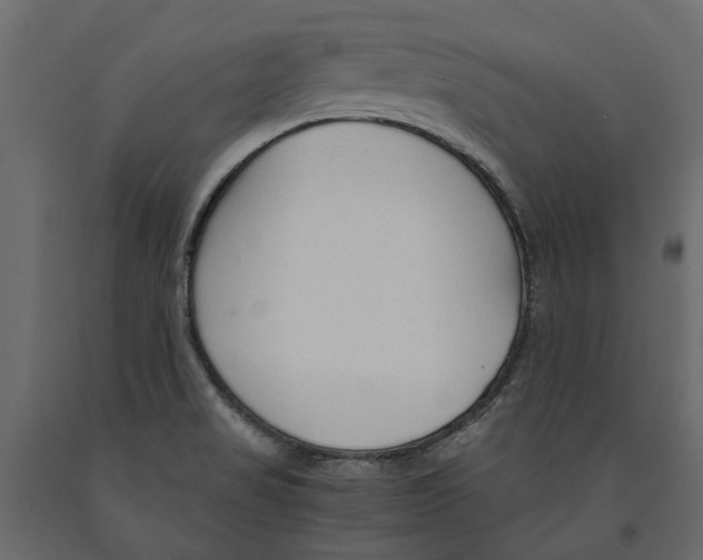 X0000090921517200708271014