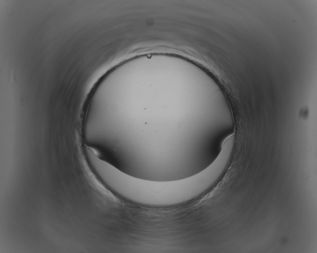 X0000090921518200708271014