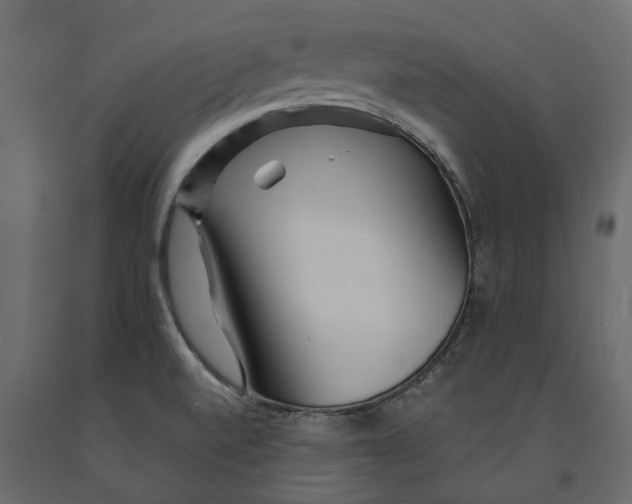 X0000090921520200708271014