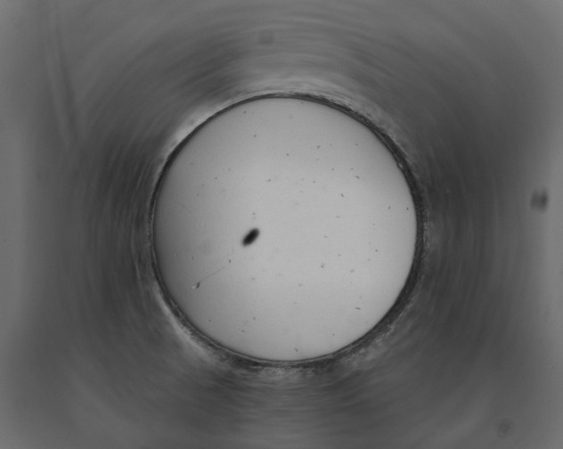 X0000090921521200708271014