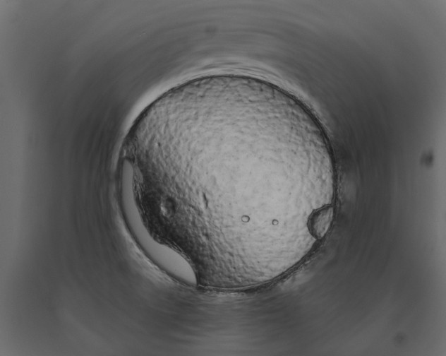 X0000090921522200708271014