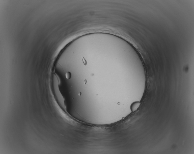 X0000090921523200708271014