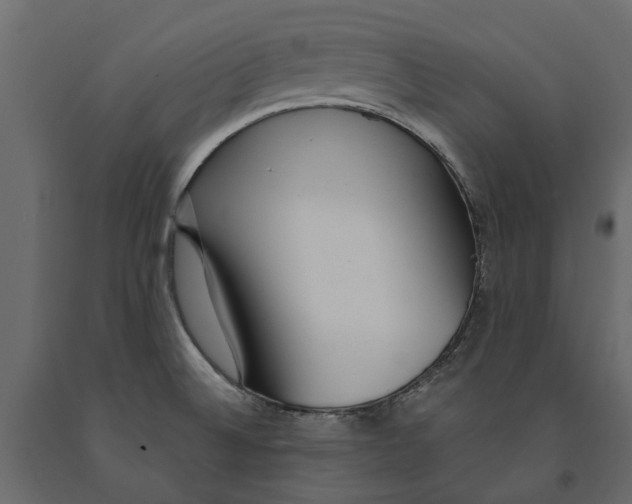 X0000090921524200708271014