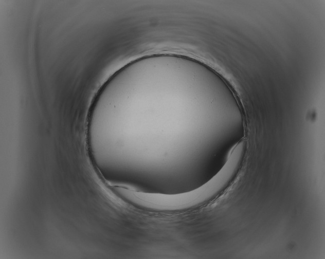 X0000090921525200708271014