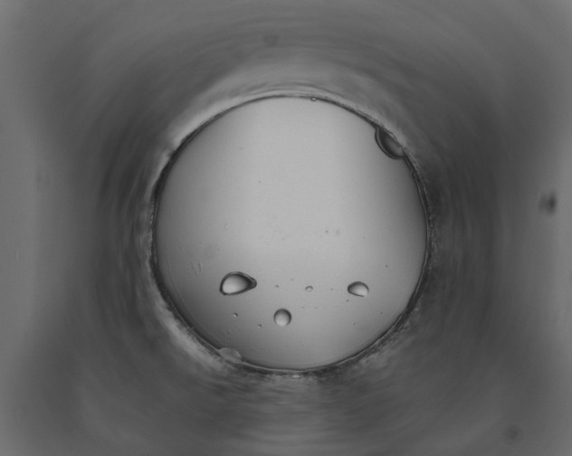 X0000090921526200708271014