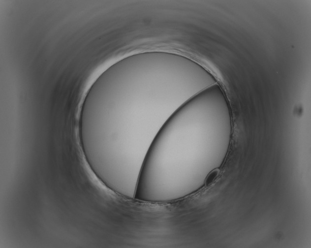 X0000090921528200708271014