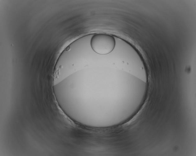 X0000090921529200708271014