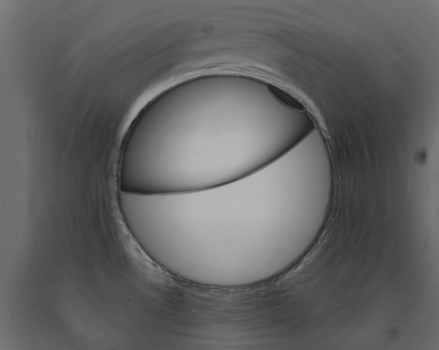 X0000090921530200708271014