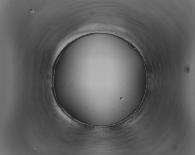 X0000090921531200708271014