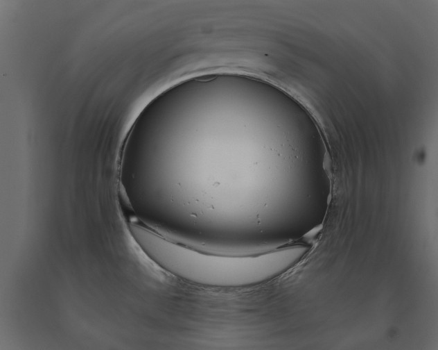 X0000090921532200708271014