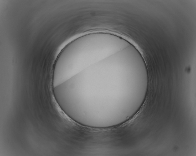 X0000090921534200708271014