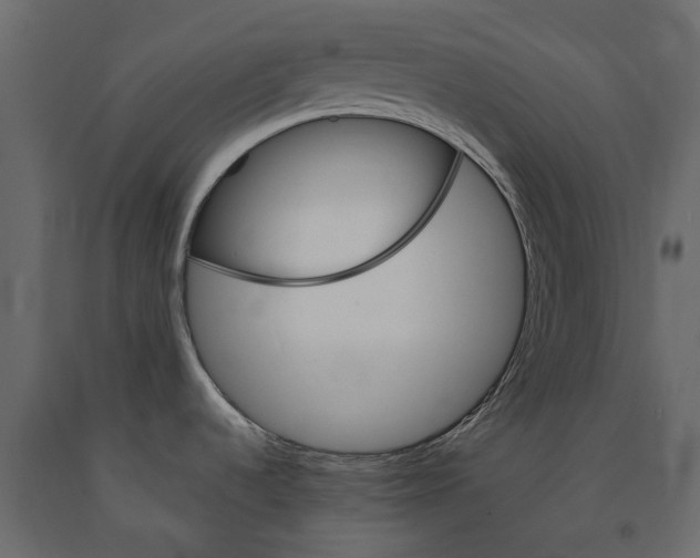 X0000090921536200708271015