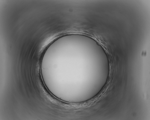 X0000090930005200707301125