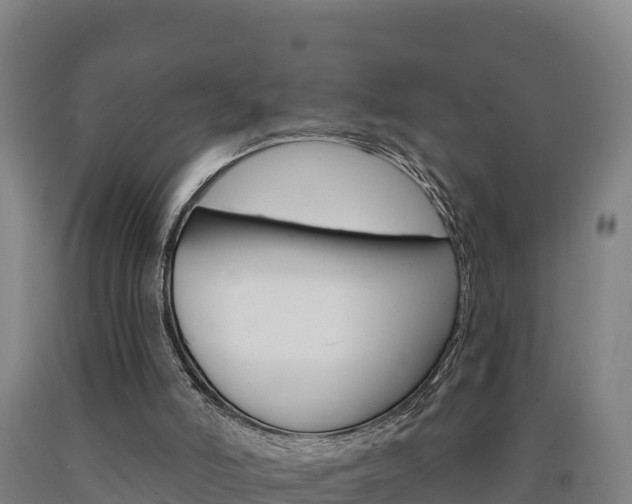 X0000090930006200707301124