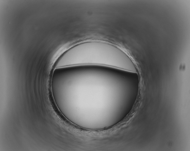 X0000090930007200707301124