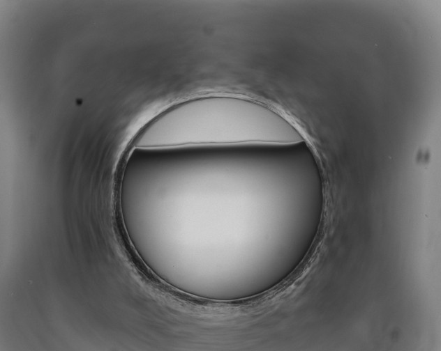 X0000090930008200707301124
