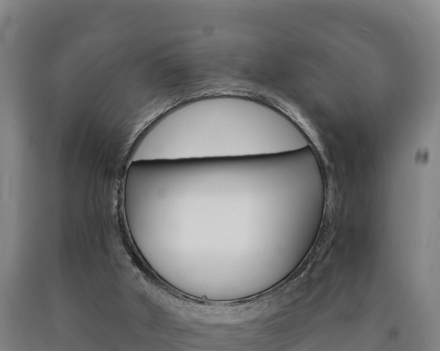 X0000090930010200707301124