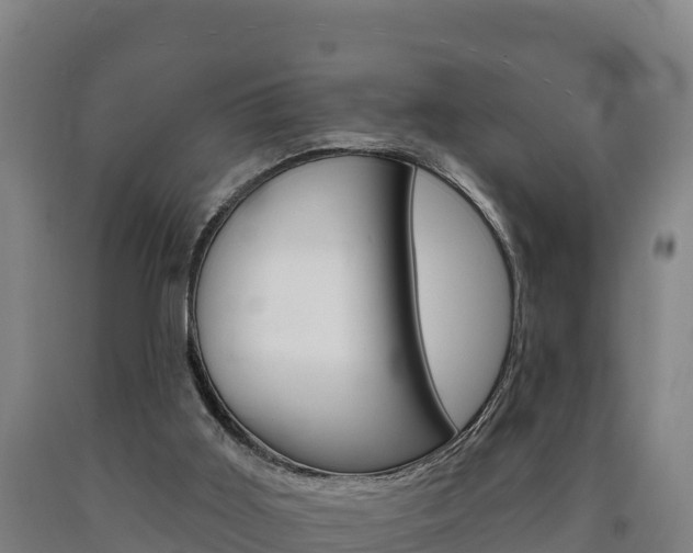X0000090930011200707301124