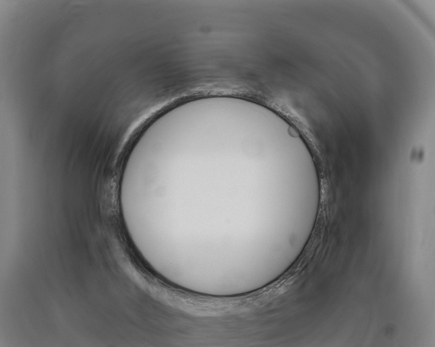X0000090930012200707301124