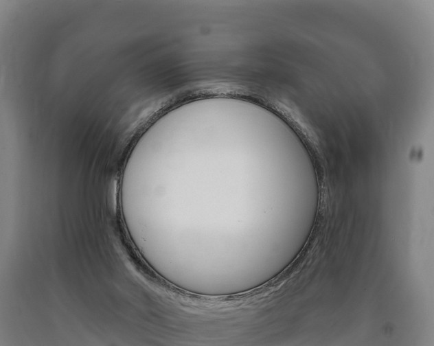 X0000090930014200707301124