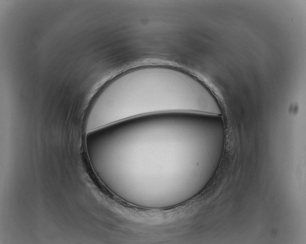 X0000090930015200707301124
