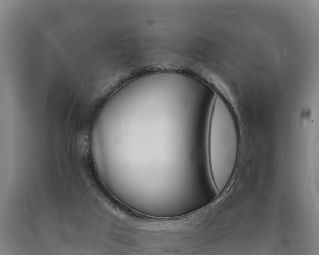 X0000090930017200707301124
