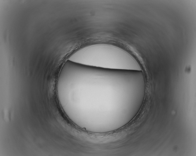 X0000090930018200707301124