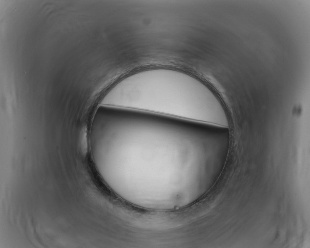 X0000090930020200707301124