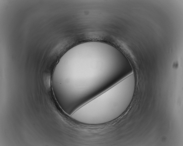 X0000090930021200707301124