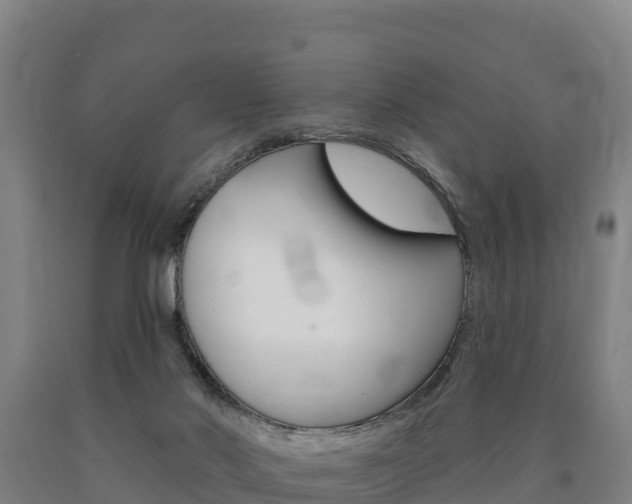 X0000090930022200707301124