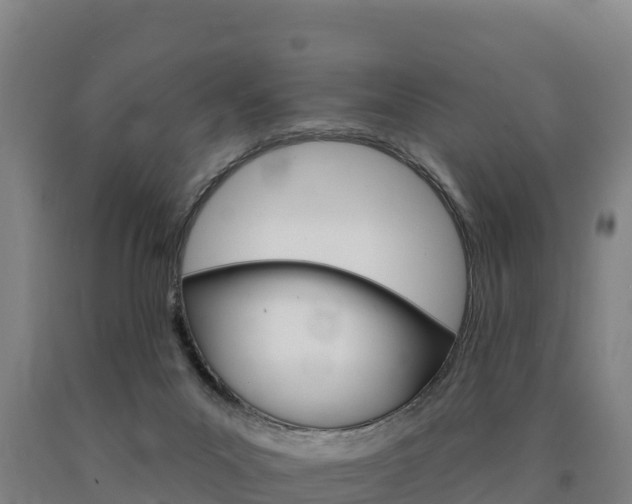 X0000090930023200707301124