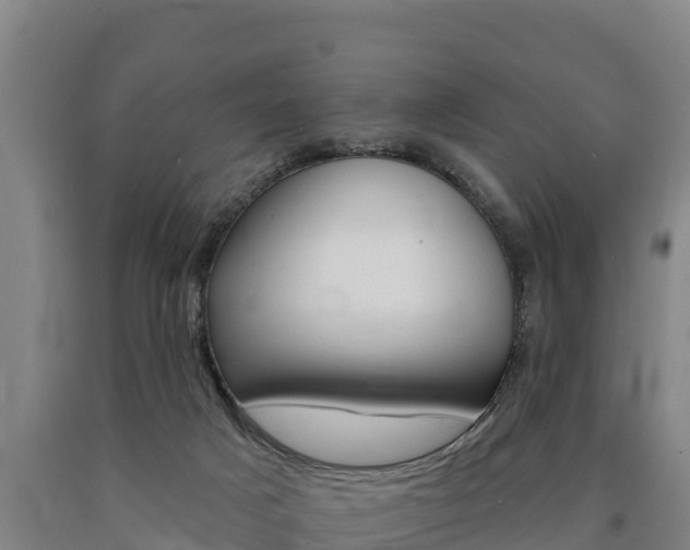 X0000090930025200707301124
