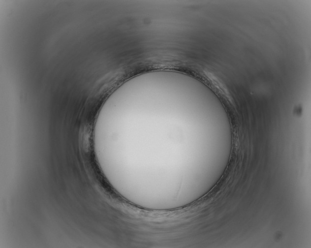 X0000090930026200707301124