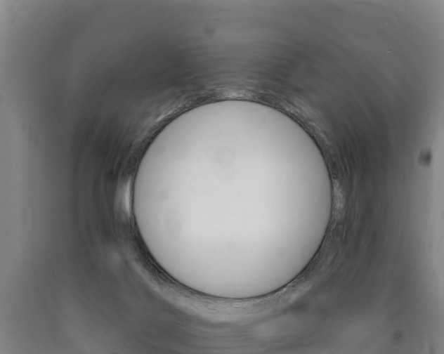 X0000090930028200707301124